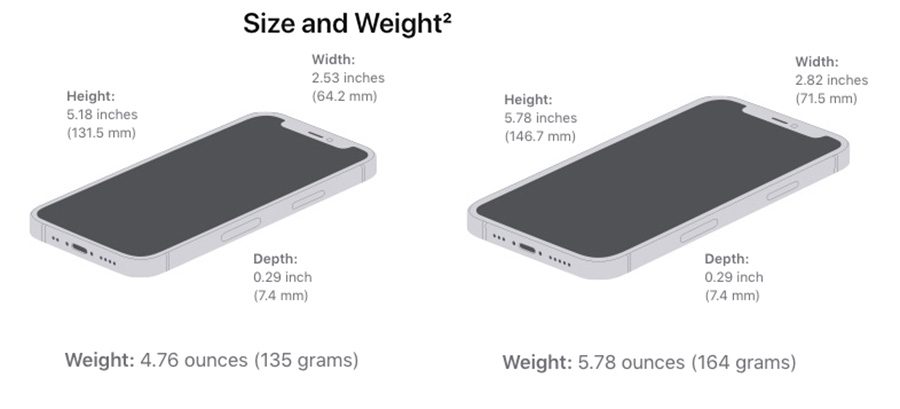 Size and Weight